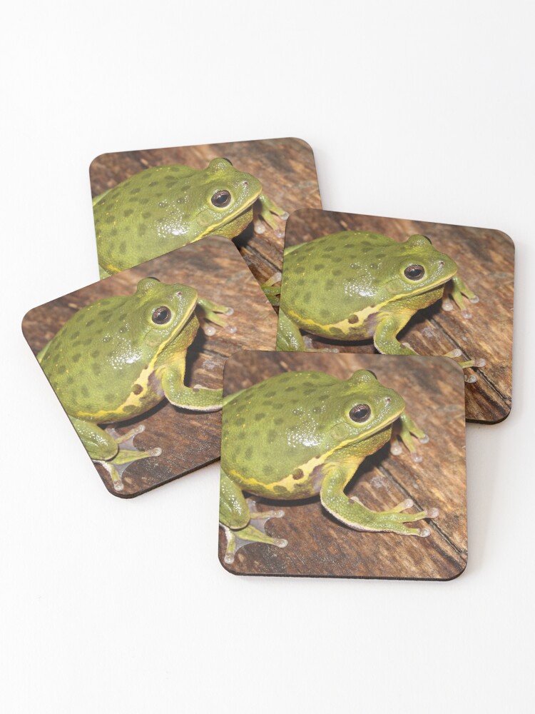 Thumbnail 1 of 5, Coasters (Set of 4), Barking Treefrog designed and sold by Snakemantysmith.