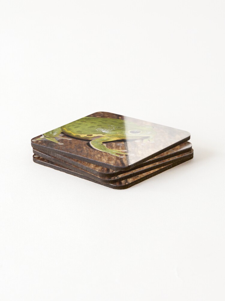 Thumbnail 4 of 5, Coasters (Set of 4), Barking Treefrog designed and sold by Snakemantysmith.
