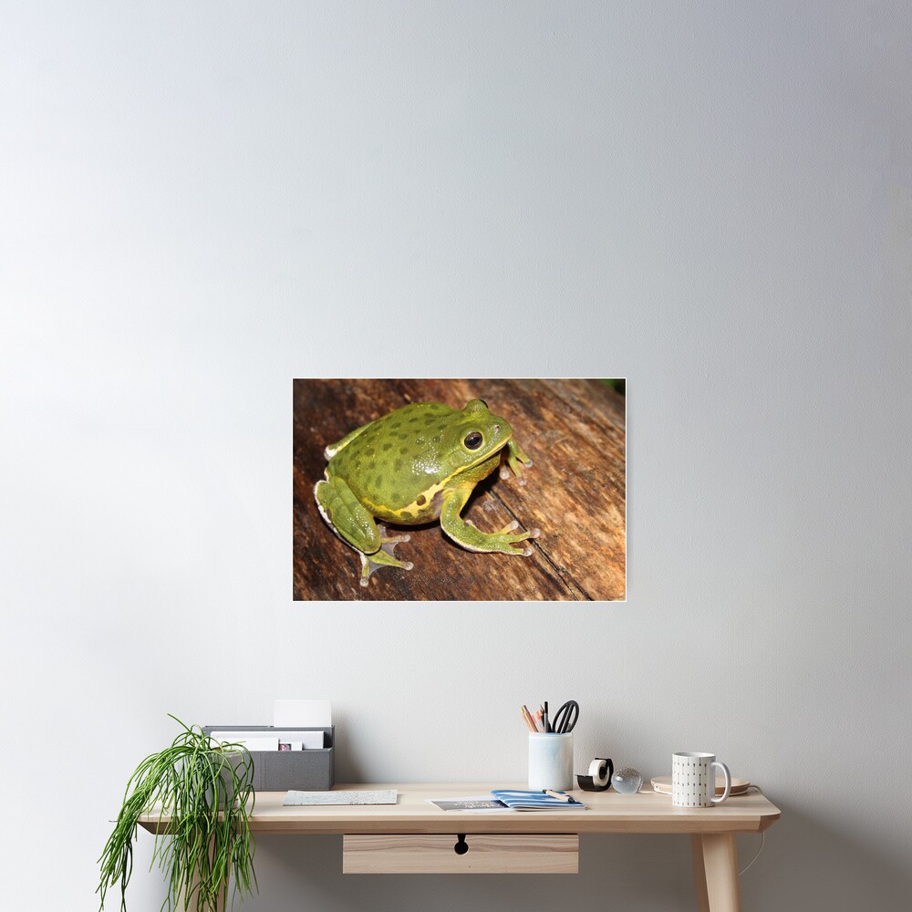 Item preview, Poster designed and sold by Snakemantysmith.