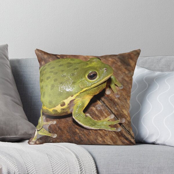 Item preview, Barking Treefrog  designed and sold by Snakemantysmith.
