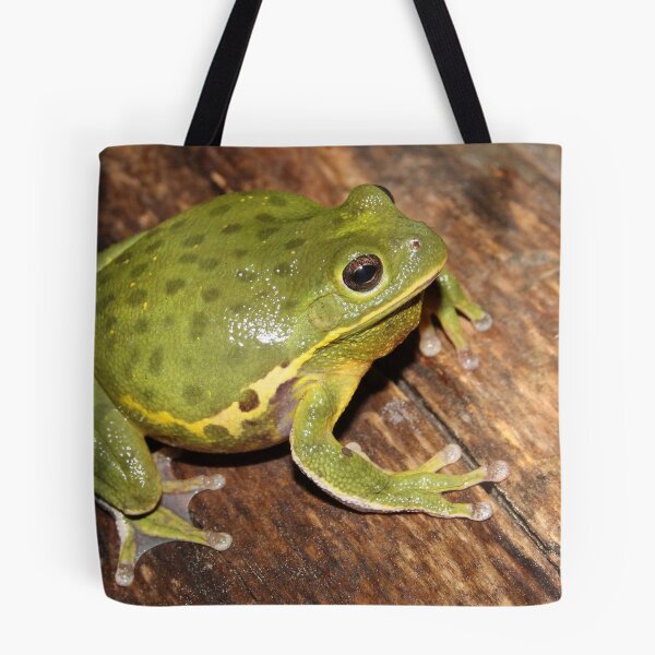 Item preview, Barking Treefrog  designed and sold by Snakemantysmith.