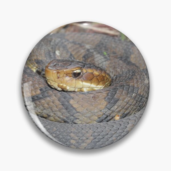 Item preview, Cottonmouth  designed and sold by Snakemantysmith.