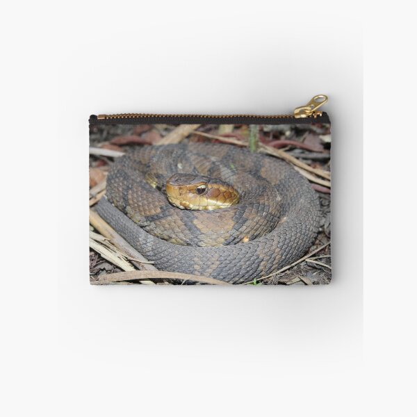 Item preview, Cottonmouth  designed and sold by Snakemantysmith.