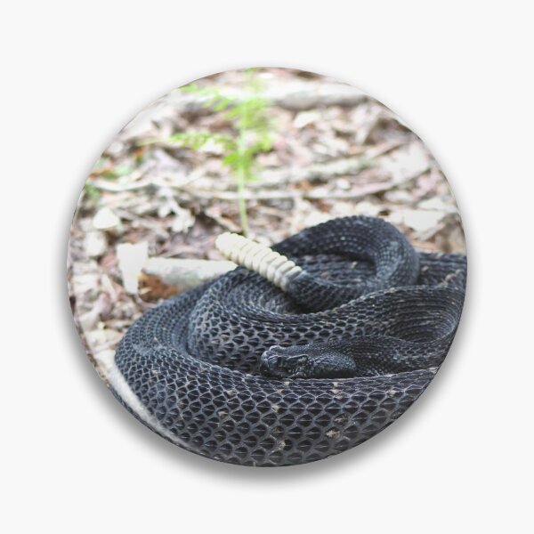 Item preview, Timber Rattlesnake (black) designed and sold by Snakemantysmith.