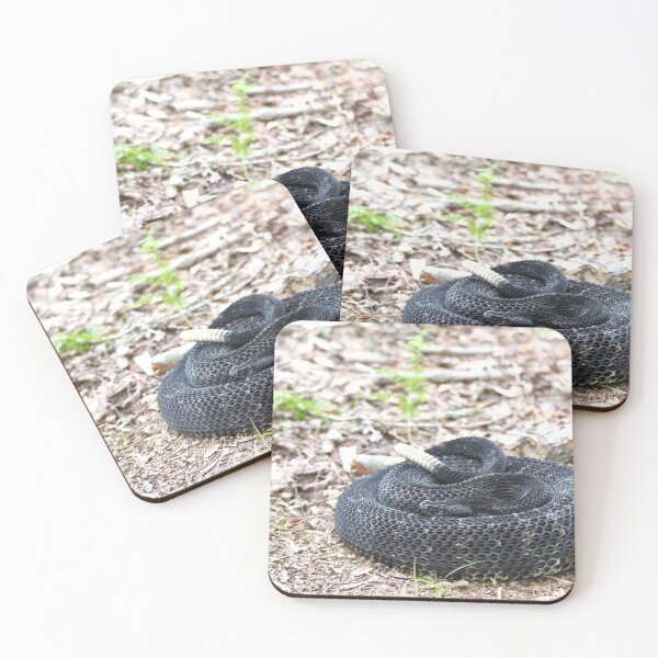 Item preview, Timber Rattlesnake (black) designed and sold by Snakemantysmith.