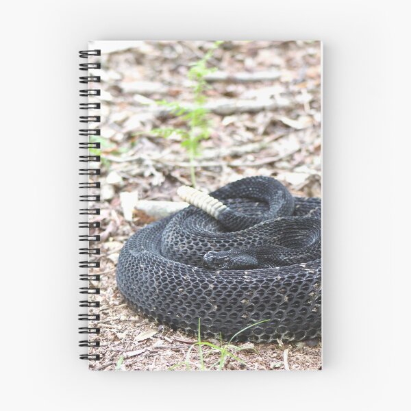 Item preview, Timber Rattlesnake (black) designed and sold by Snakemantysmith.