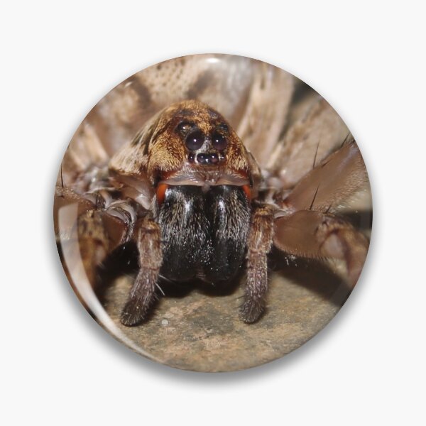 Item preview, Field Wolf Spider designed and sold by Snakemantysmith.