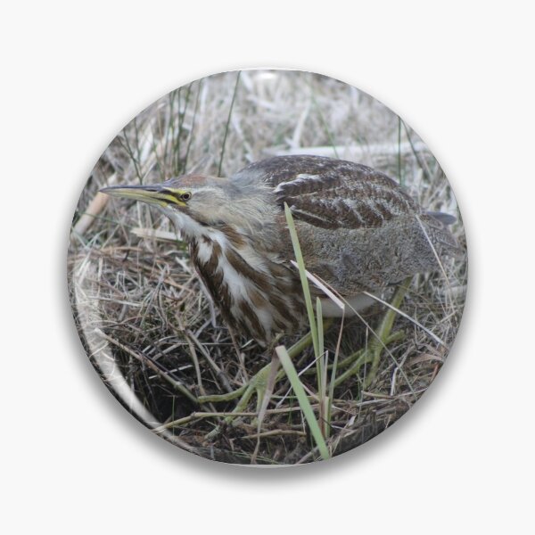 Item preview, American Bittern designed and sold by Snakemantysmith.