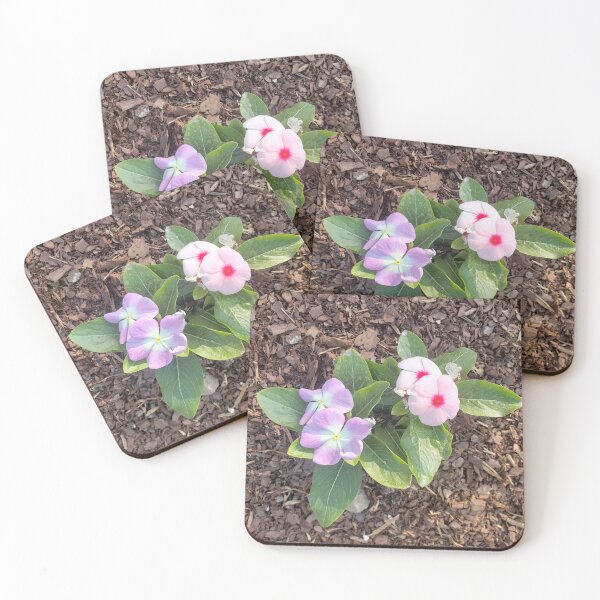 Item preview, Periwinkle  designed and sold by GrudleBay.