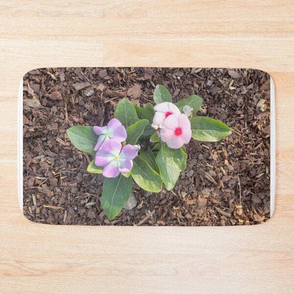 Item preview, Periwinkle  designed and sold by GrudleBay.