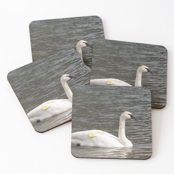 Item preview, Trumpeter Swan designed and sold by Snakemantysmith.