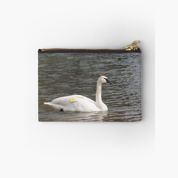 Item preview, Trumpeter Swan designed and sold by Snakemantysmith.