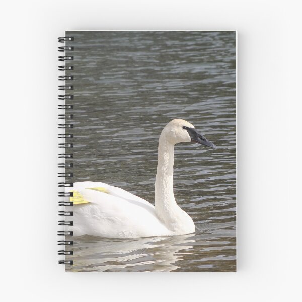 Item preview, Trumpeter Swan designed and sold by Snakemantysmith.