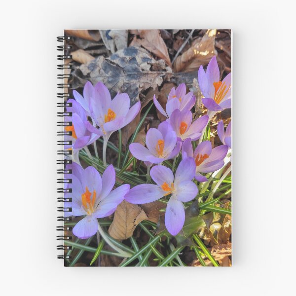 Item preview, Spring Flowers designed and sold by PhotoPhoto.