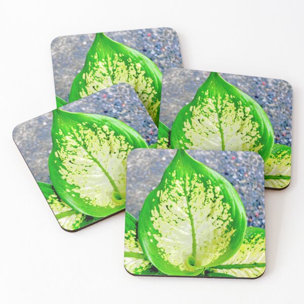 Item preview, My beautiful plants  designed and sold by Bossmommy84.