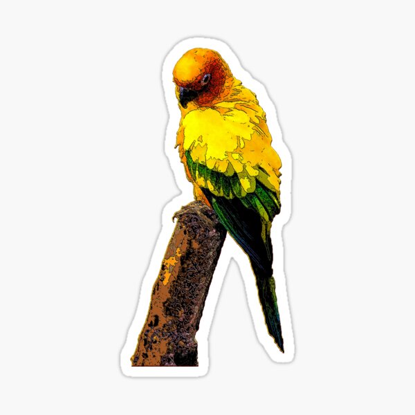 Sun Parakeet Sticker