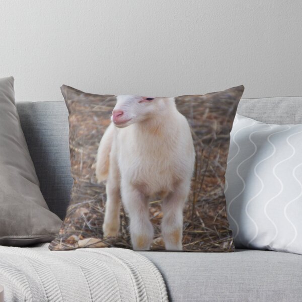 Aperçu de l'œuvre Little Lamb créée et vendue par ForeverFrodo.