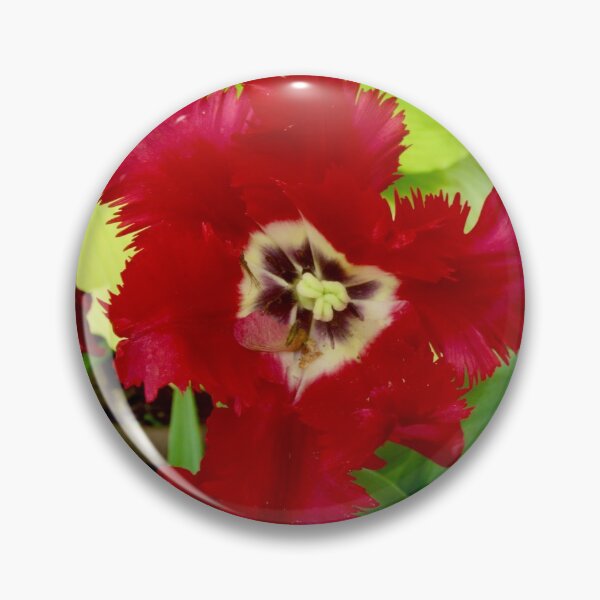 Item preview, Ragged Tulip designed and sold by Shulie1.