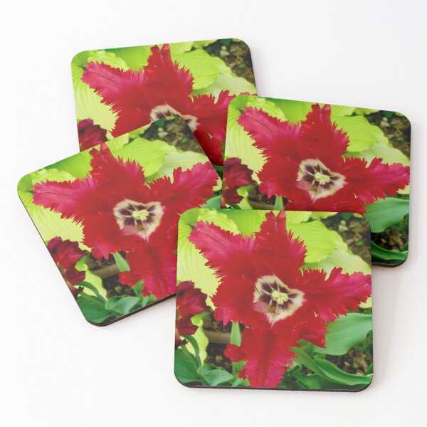 Item preview, Ragged Tulip designed and sold by Shulie1.