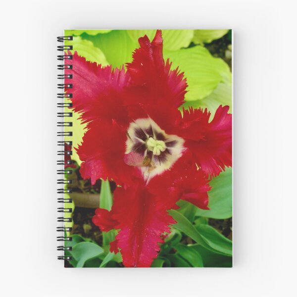 Item preview, Ragged Tulip designed and sold by Shulie1.