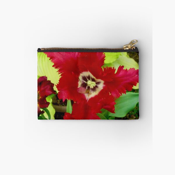 Item preview, Ragged Tulip designed and sold by Shulie1.