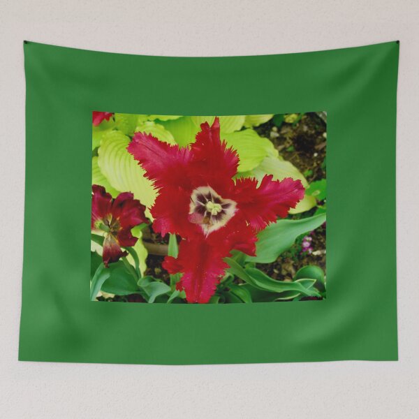 Item preview, Ragged Tulip designed and sold by Shulie1.