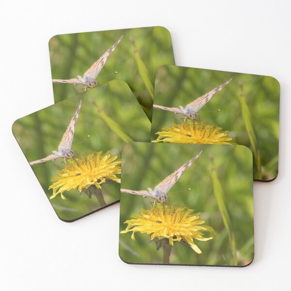 Item preview, Painted Lady designed and sold by LaurenTucker.