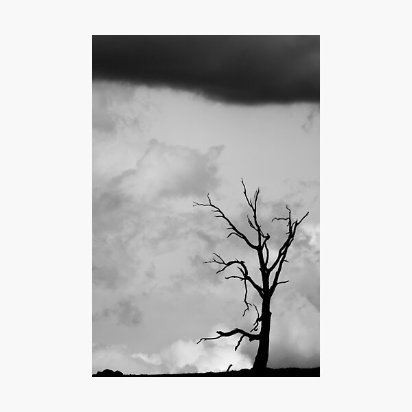 Alone Photographic Print