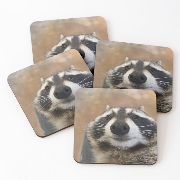 Item preview, Silly Raccoon designed and sold by DaveDango.