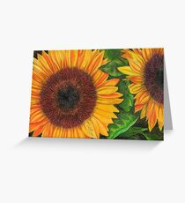Sunflower Sketch Greeting Card