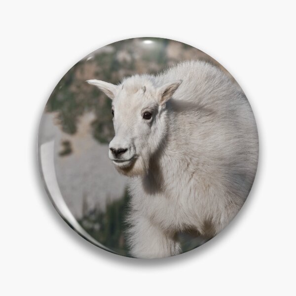 Item preview, Mountain Goat Kid Standing on a Boulder designed and sold by Jeff Goulden Photography.