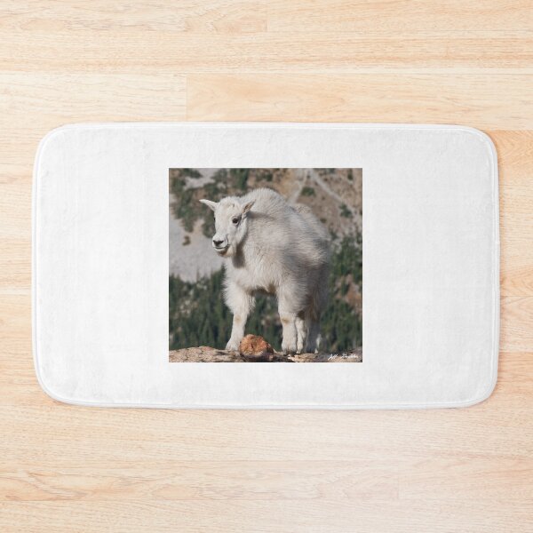 Item preview, Mountain Goat Kid Standing on a Boulder designed and sold by Jeff Goulden Photography.