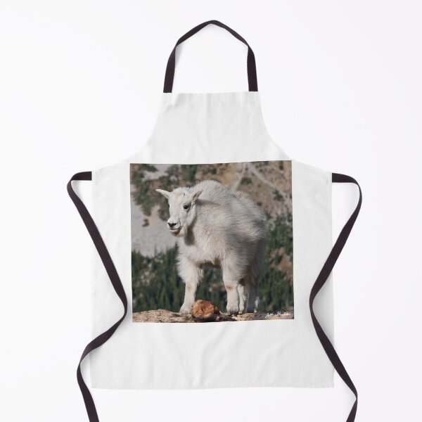 Item preview, Mountain Goat Kid Standing on a Boulder designed and sold by Jeff Goulden Photography.