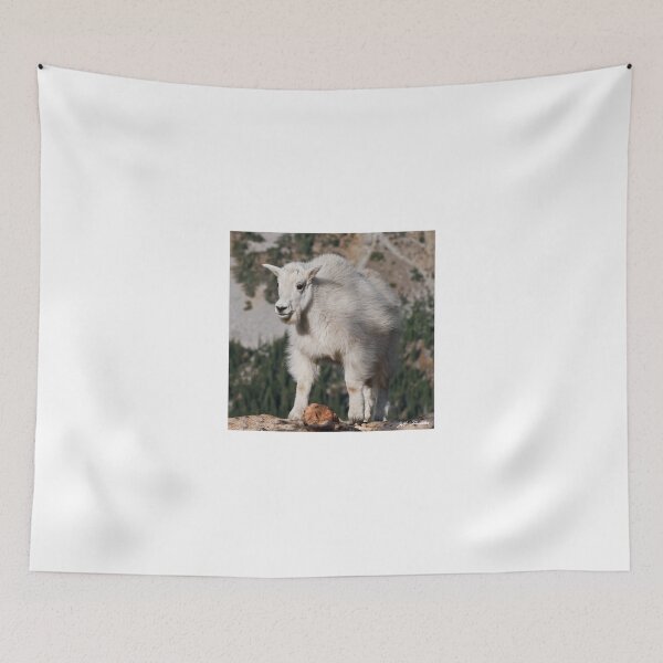 Item preview, Mountain Goat Kid Standing on a Boulder designed and sold by Jeff Goulden Photography.