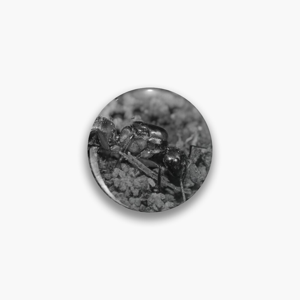 Item preview, Pin designed and sold by R-York.