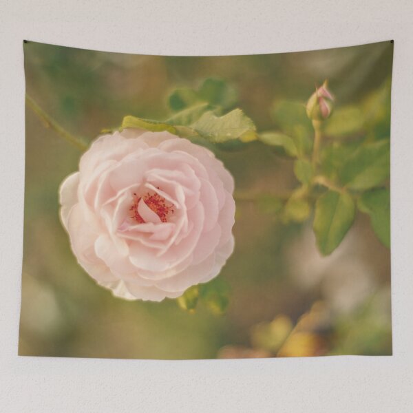 Item preview, Soft pink rose designed and sold by ninasclicks.