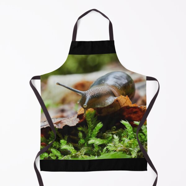 Item preview, Keeping an eye. Copse snail designed and sold by Jouko Lehto Photography.