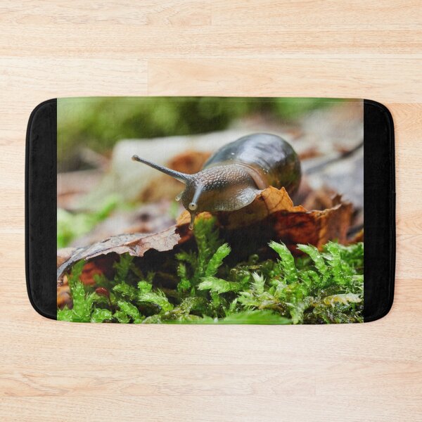Item preview, Keeping an eye. Copse snail designed and sold by Jouko Lehto Photography.