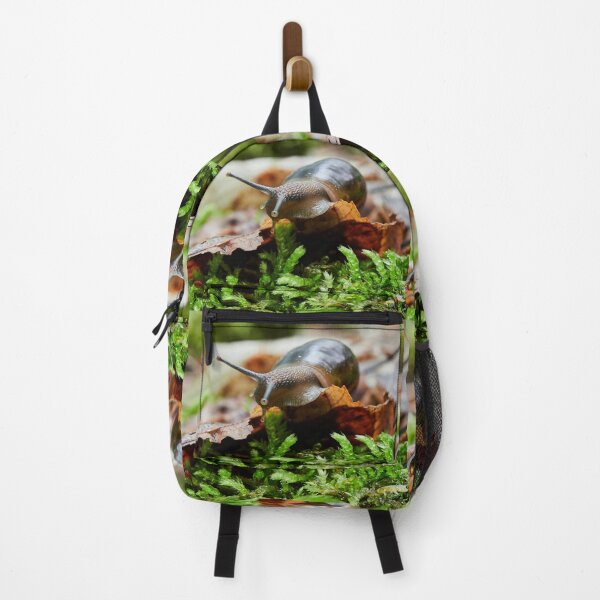 Item preview, Keeping an eye. Copse snail designed and sold by Jouko Lehto Photography.