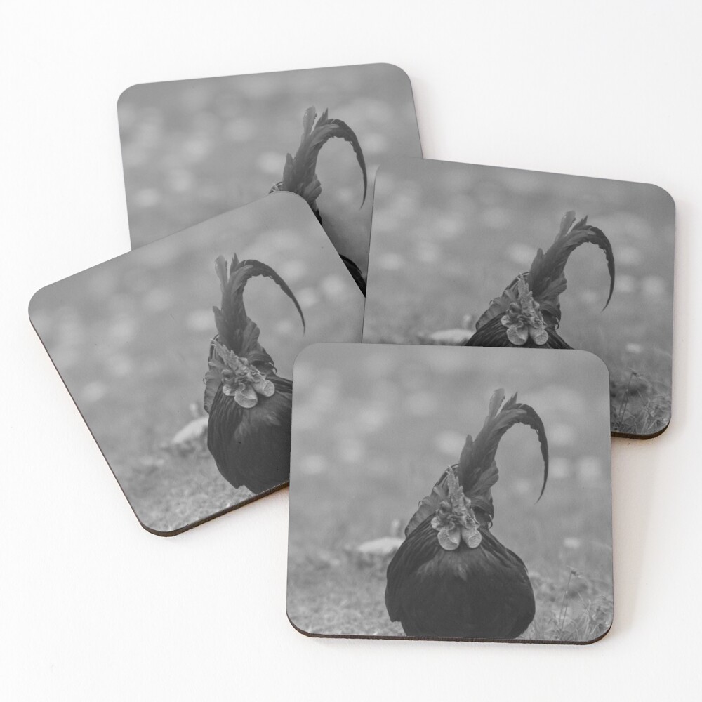 Item preview, Coasters (Set of 4) designed and sold by R-York.