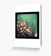 onmychest Greeting Card
