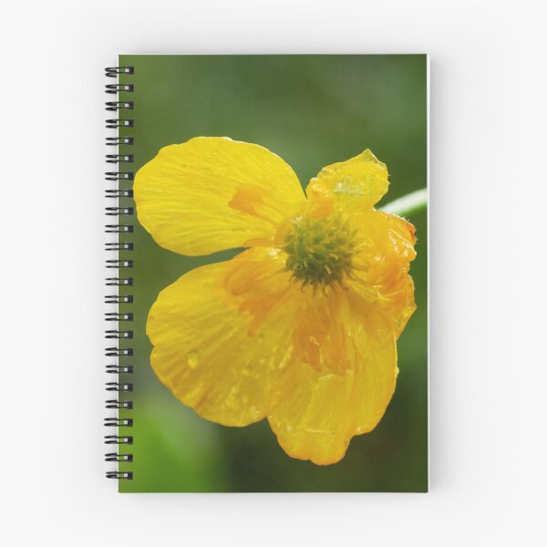 Item preview, Just a wet buttercup designed and sold by Jouko Lehto Photography.