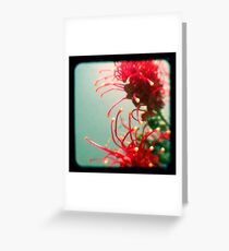 hisloversbegin Greeting Card