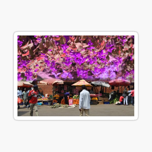 Vista previa del artículo con la obra «Mercado de Blantyre florecido rojo», diseñado y vendido por JessicaMhone.