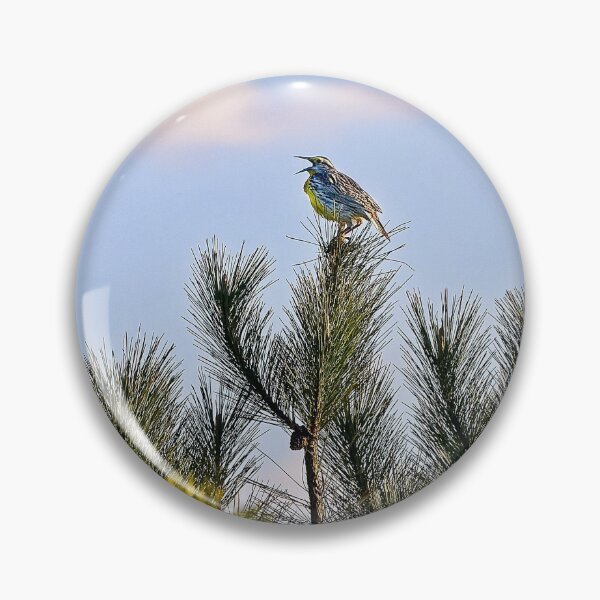 Item preview, Eastern Meadowlark, Wisconsin designed and sold by StevenRalserPhoto.