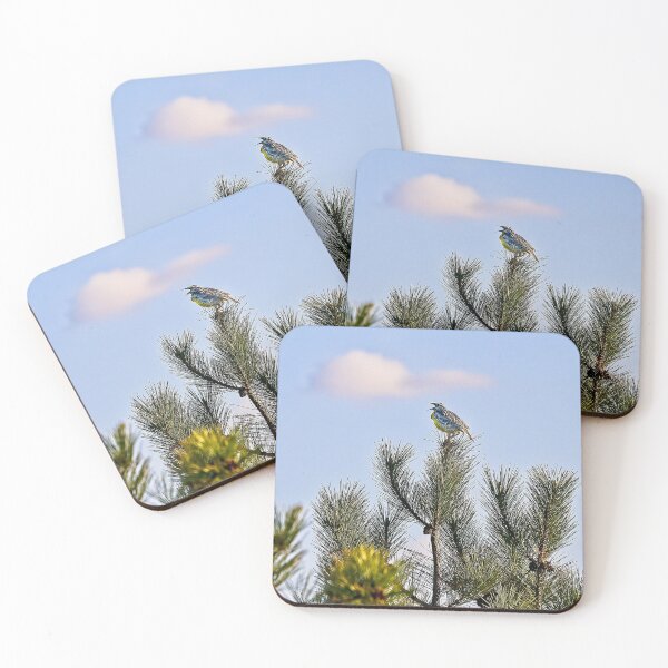 Item preview, Eastern Meadowlark, Wisconsin designed and sold by StevenRalserPhoto.