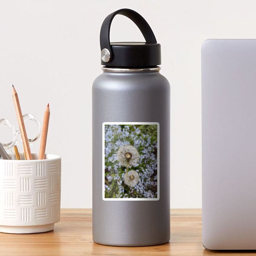 Pusteblume Sticker
