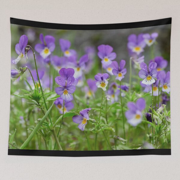 Item preview, Wild pansy field designed and sold by Jouko Lehto Photography.