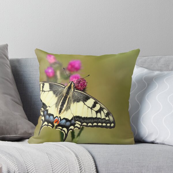 Aperçu de l'œuvre Swallowtail butterfly créée et vendue par Remo Savisaar.