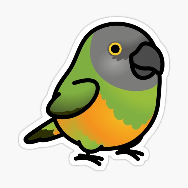 Item preview, Chubby Senegal Parrot designed and sold by birdhism.